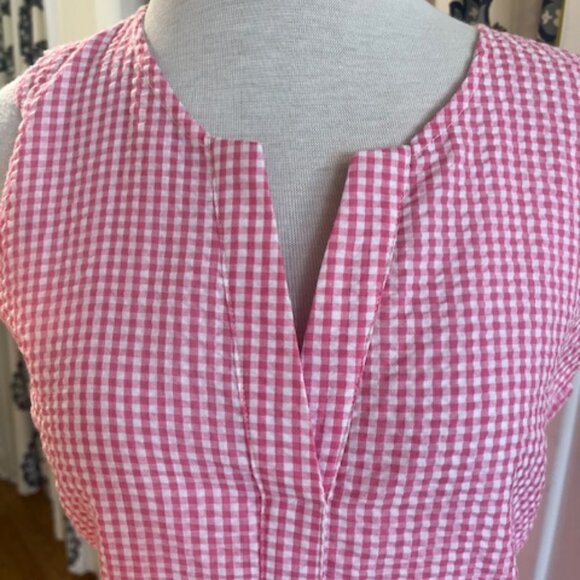 Duffield Lane Cassidy Shift Dress: Raspberry Gingham - Picture 4 of 7
